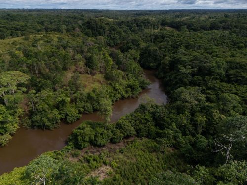 Colombia’s Deforestation Rises Slightly as Amazon Forest Loss Holds Steady
