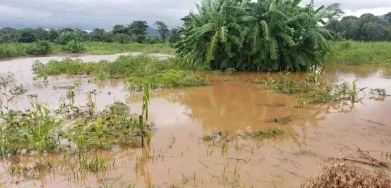 Rebuilding After Freddy: Malawi’s $8.49 Million Climate Grant Restores What a Cyclone Took and Builds Resilience for What’s Next