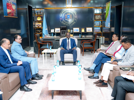 Blue Economy, African Vision: Somalia and Egypt Chart a Course for Shared Maritime Prosperity